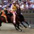 Il Palio: ll Palio in Siena