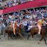Il Palio: ll Palio in Siena