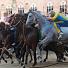 Il Palio: ll Palio in Siena