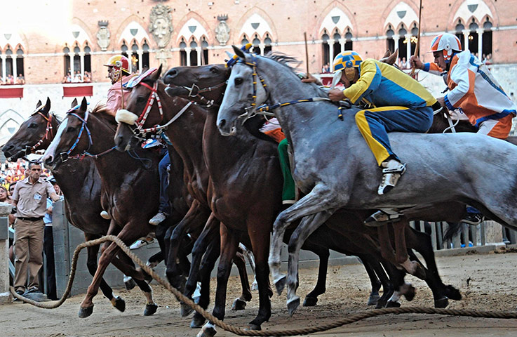 Il Palio: ll Palio in Siena
