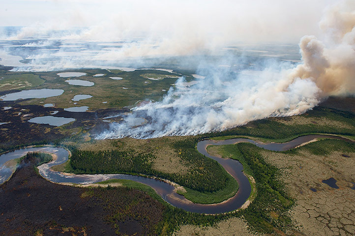 week in wildlife: A wildfire burns through the tundra and boreal forest