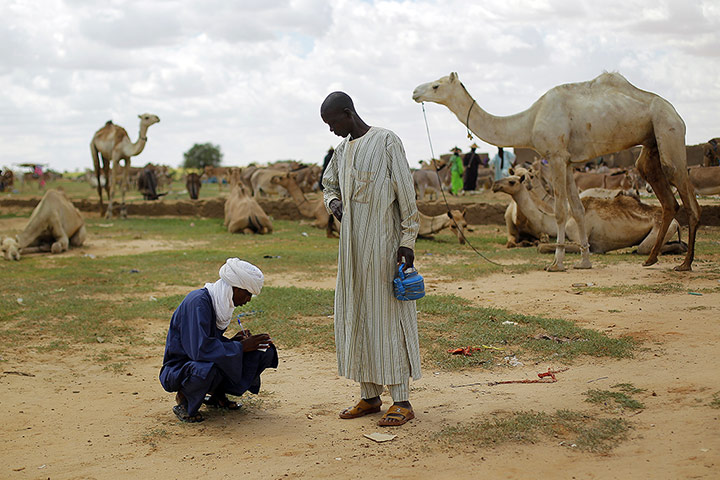 Livestock market: Niger Nomads Herdsmen, Tuareg and Peul