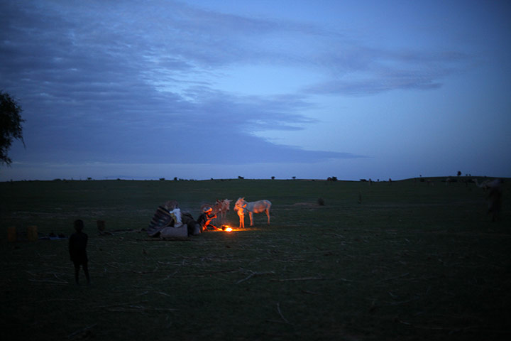 Livestock market: Niger Nomads Herdsmen, Tuareg and Peul 