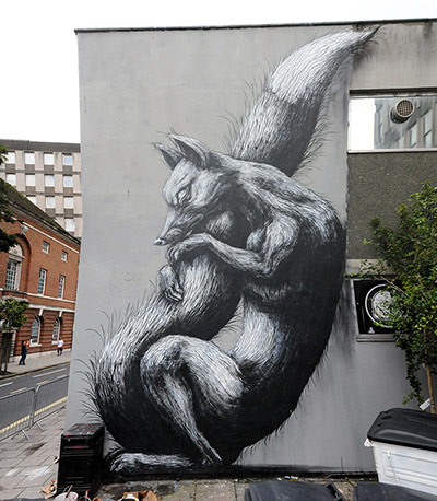 See No Evil: Roa