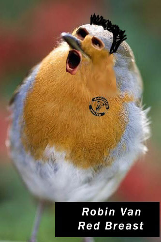 Robin van Persie: Robin van Persie