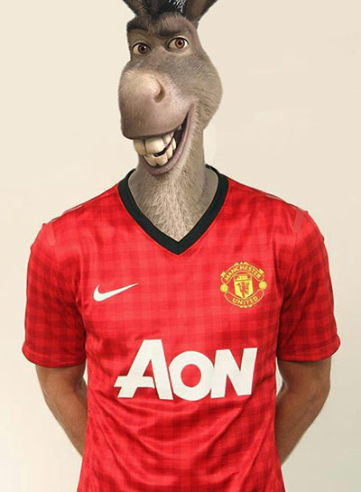 Robin van Persie: Robin van Persie