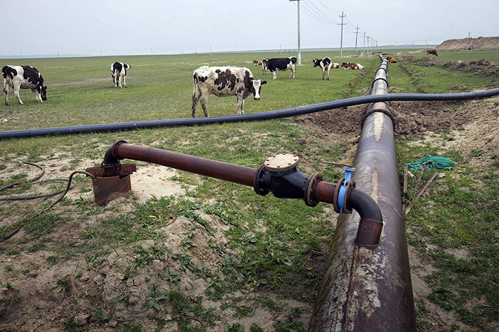 Thirsty Coal in China: Greenpeace report on Water Crisis Exacerbated by New Mega Coal Power Bases