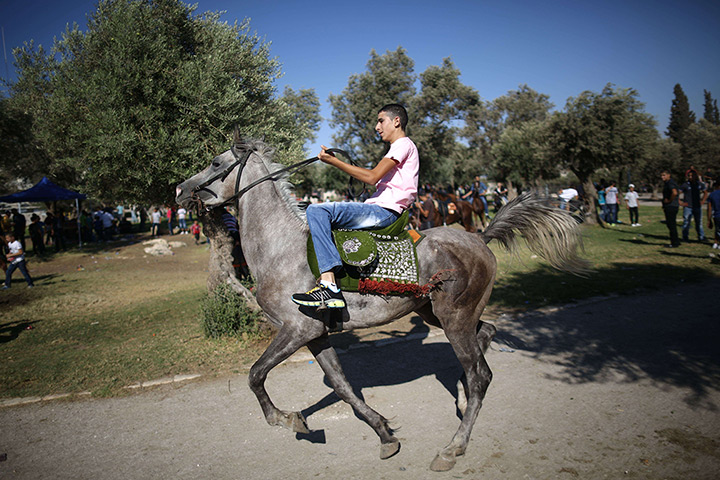 24 hours: East Jerusalem: Palestinian boys ride horses at an entertainment park 