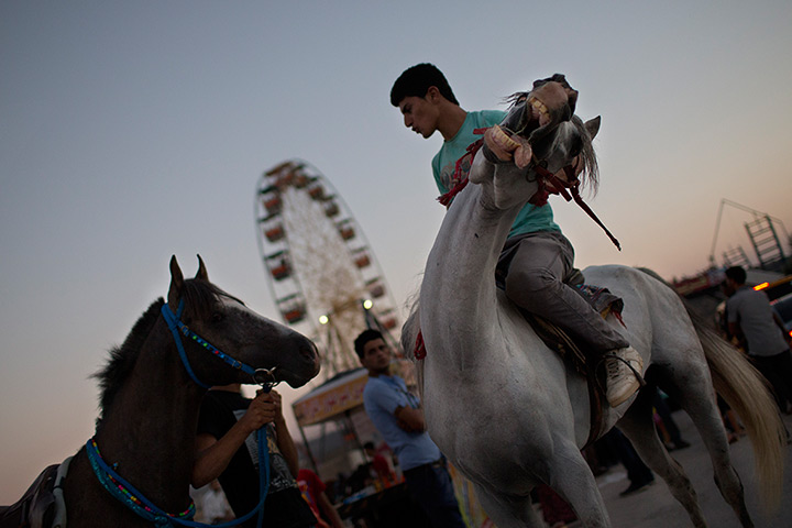 24 hours in pictures: A Palestinian pulls from the bridle of his horse  in an amusement p