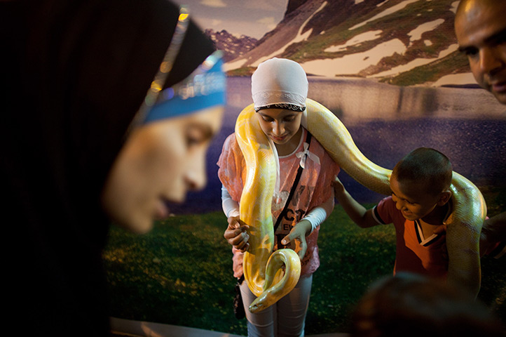 24 hours in pictures: Israeli Arabs get their picture taken with a pet snake at an amusement park