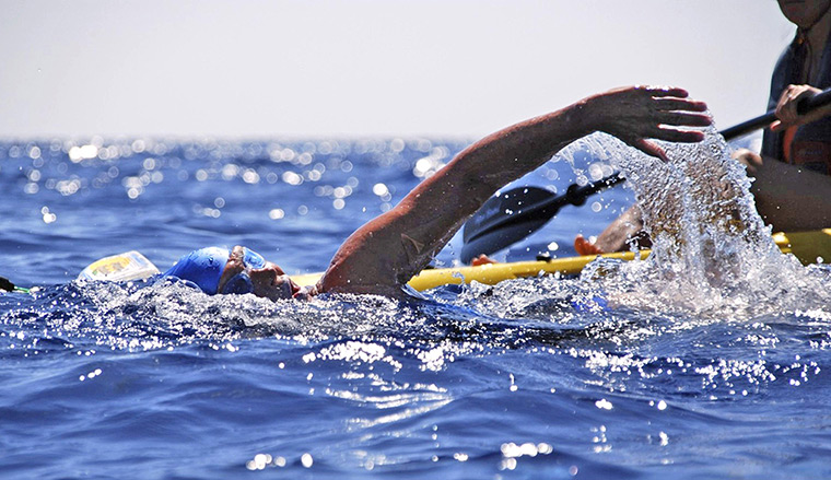Diana Nyad: Woman Attempts To Swim The Florida Straits Without Shark Cage