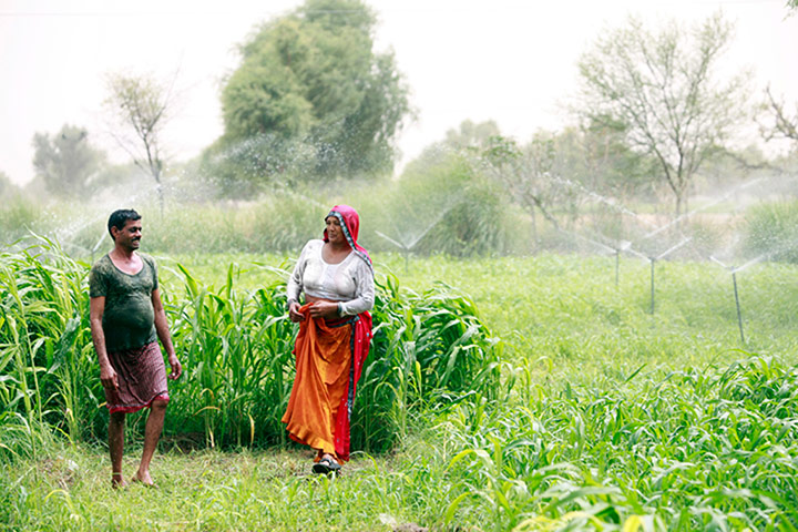 Water Security Gallery: Farmers aquifer