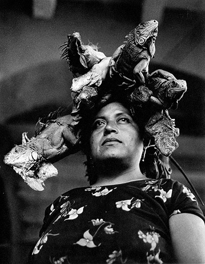 Everything Was Moving: Graciela Iturbide's Our Lady of the Iguanas