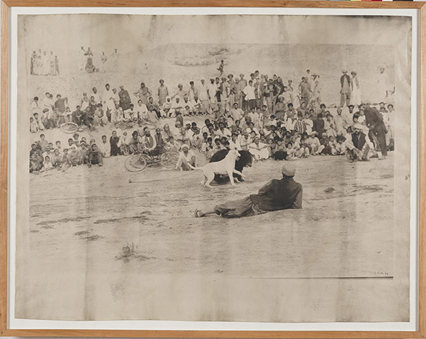 Everything Was Moving: Sigmar Polke's Der Bärenkampf (The Bear Fight), 1974 