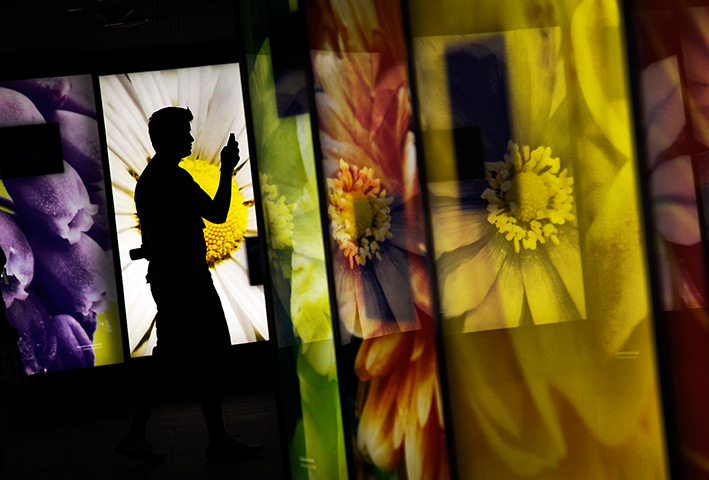 24 hours: Singapore: A visitor to the Gardens by the Bay by illuminated billboards 