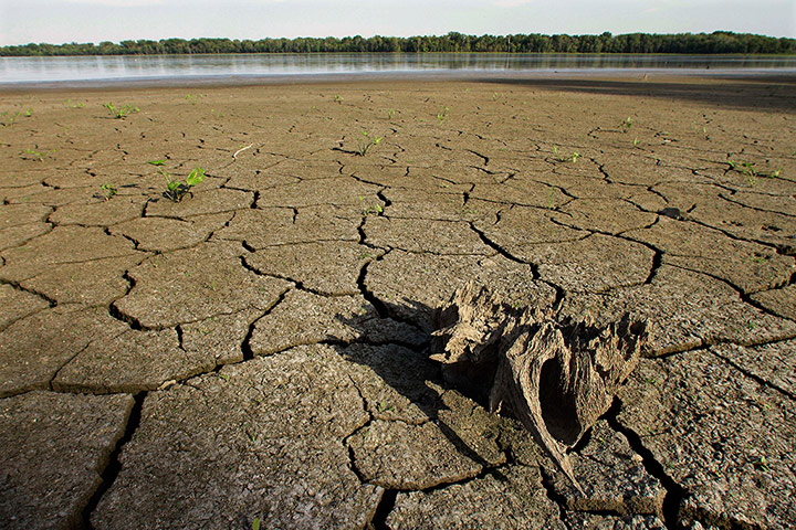 Week in wildlife: drought  in US