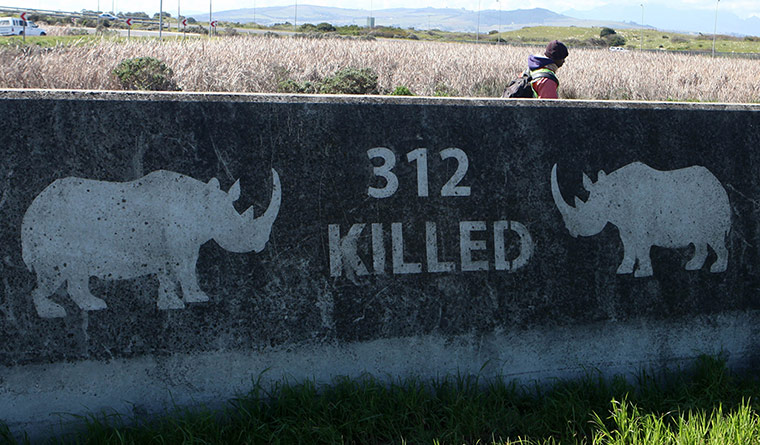 Week in wildlife: Activists raise awareness on rhino poaching