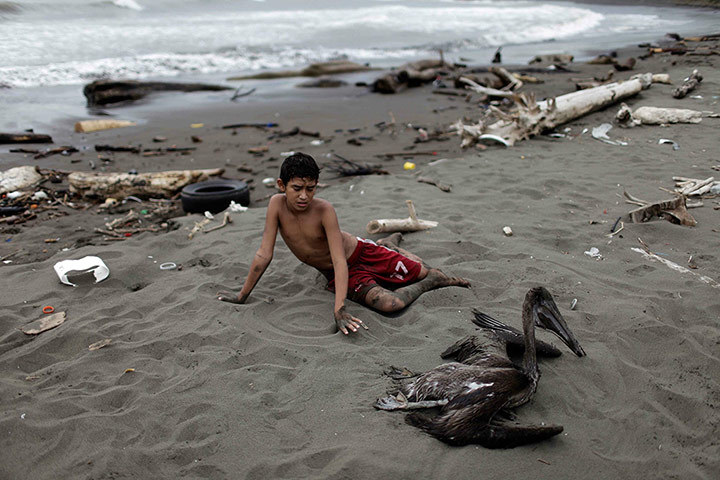 Week in wildlife: polluted rivers and beaches