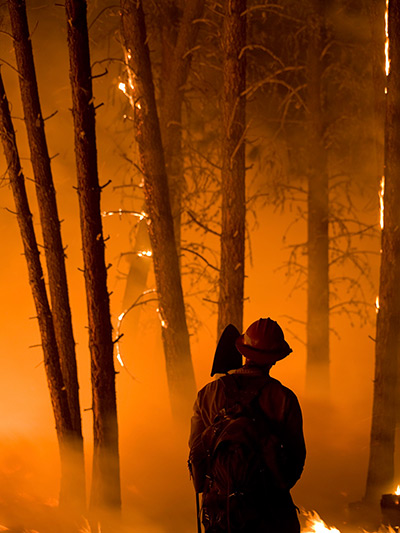 24 hours in pictures: A firefighter at a forest fire in Boise National Forest