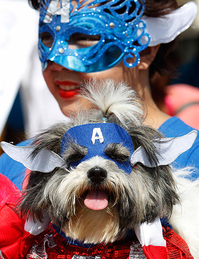 24 hours in pictures: A owner and her dog dress up as superheroes during a fashion show