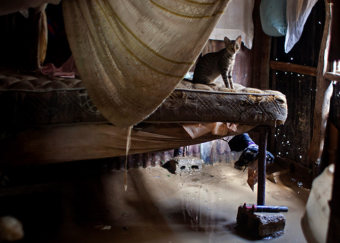 24 hours in pictures: A cat sits on a bed a flooded house after Tropical Storm Isaac