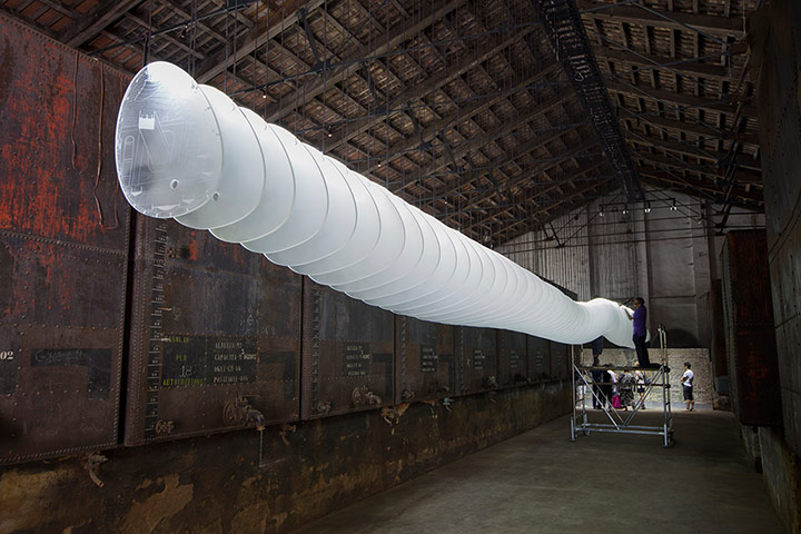 David Levene at the Venice Architecture Biennale