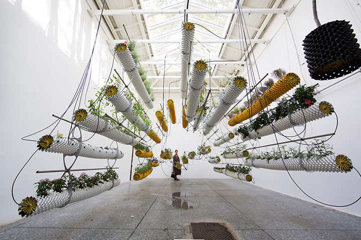 David Levene at the Venice Architecture Biennale