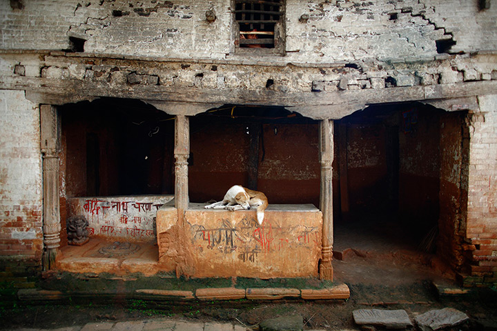 24 hours: Kathmandu, Nepal: A woman looks out from a window as her dog sleeps