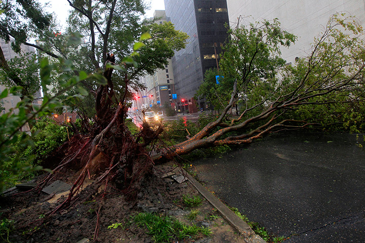 Isaac update: An uprooted tree lies across Poydras St. downtown New Orleans