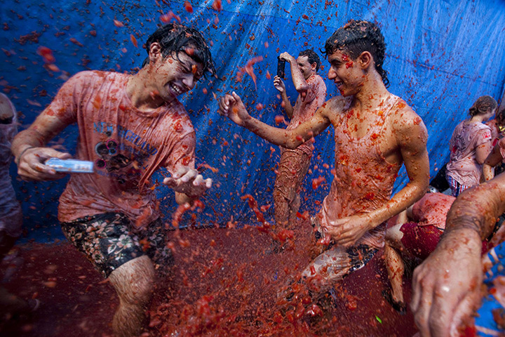 tomatina festival: Revellers take part in tomato fight