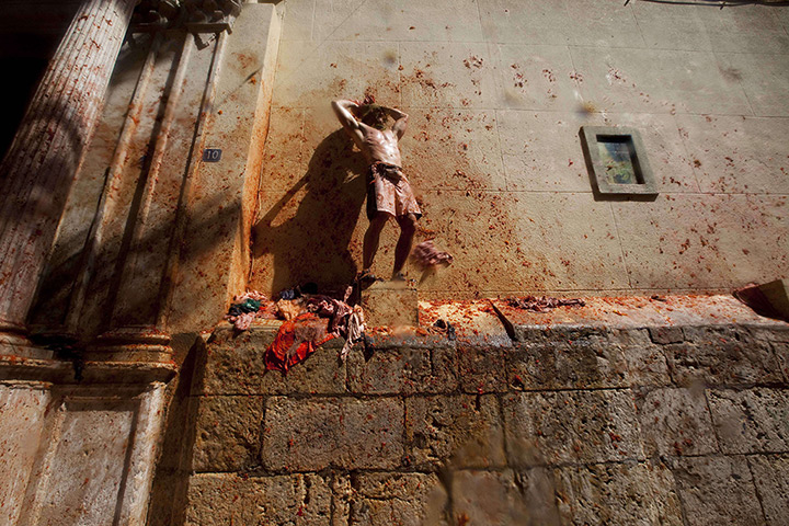 tomatina festival: A man is hit by tomatoes up a wall