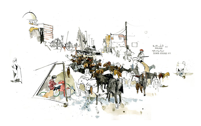 Azaz illustrations: Goats in Azaz