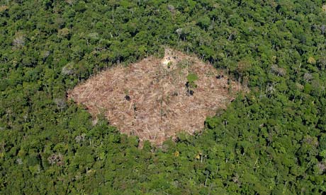 A deforested area in southern Para state, Brazil - Amazon rainforest