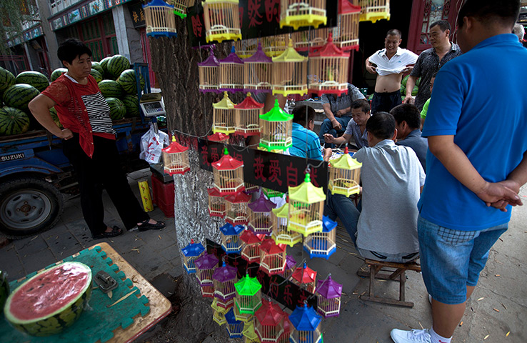 24 hours: Zhengding, China: Chinese people play card games near a roadside store