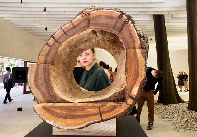 Venice architecture: A hollow tree trunk created by JKMM Architects