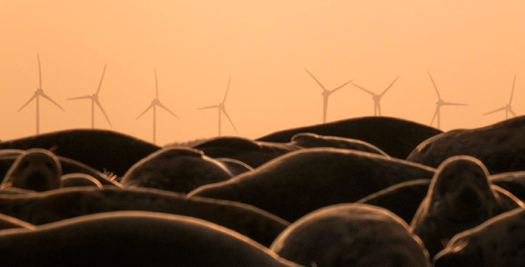 CBE photo competition: About Clean British Energy