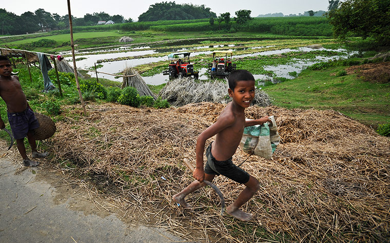 Child Slaves: Children working in the fields in the village of Basagaon