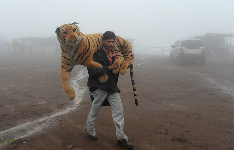24 hours: An Indian man carries a fake tiger