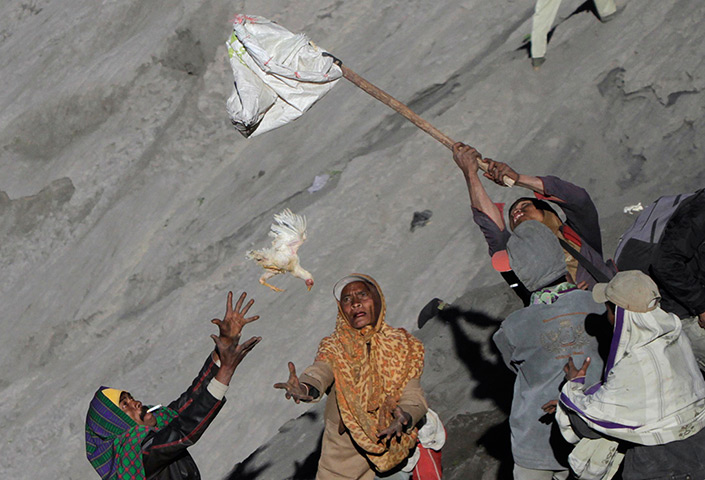 Mount Bromo: Villagers try to catch a chicken during the annual Kasada festival