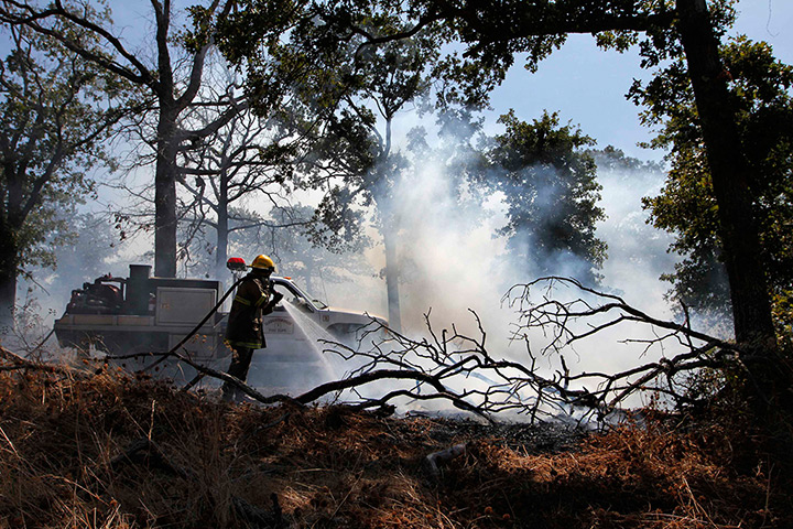 Oklahoma wildfires: Firefighters battle a wildfire near the town of Noble