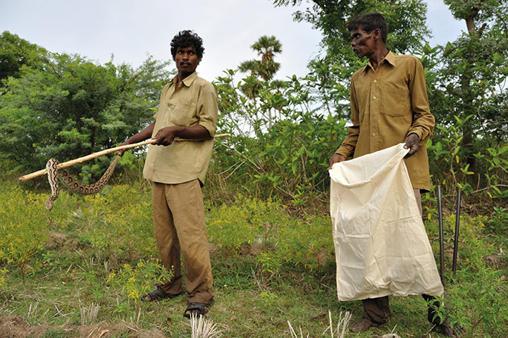 co-op partnerzone: snake catchers