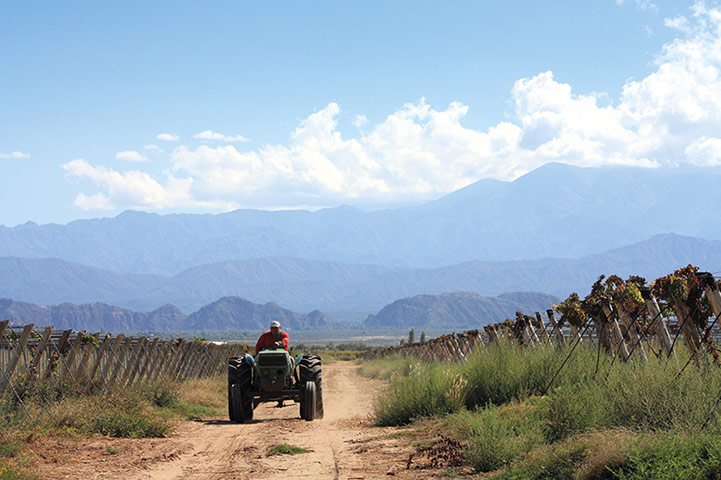 co-op partnerzone: tractor in argentina