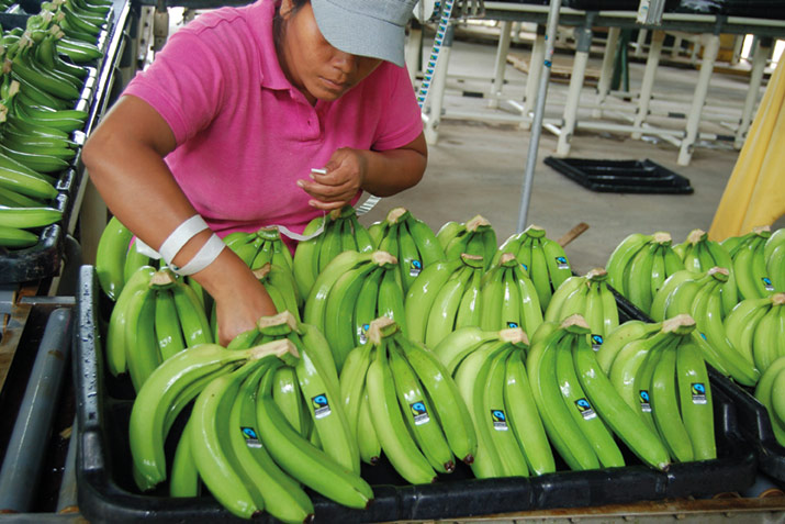 co-op partnerzone: lady bananas