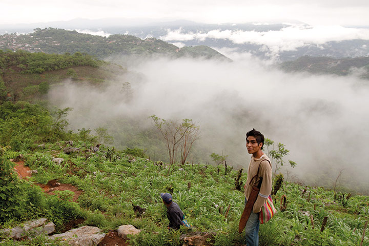 co-op partnerzone: coffee farm