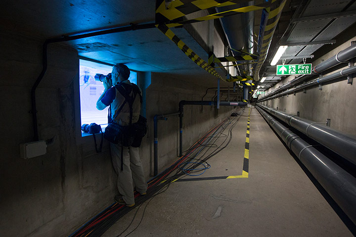 Synchronised duets: Underwater photographer