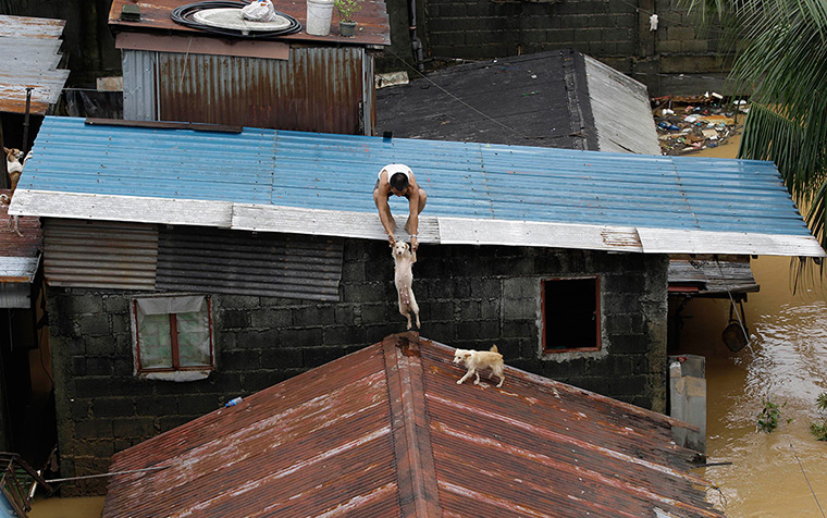 24 hours: Marikina City, Philippines: A man brings down his dogs from a rooftop