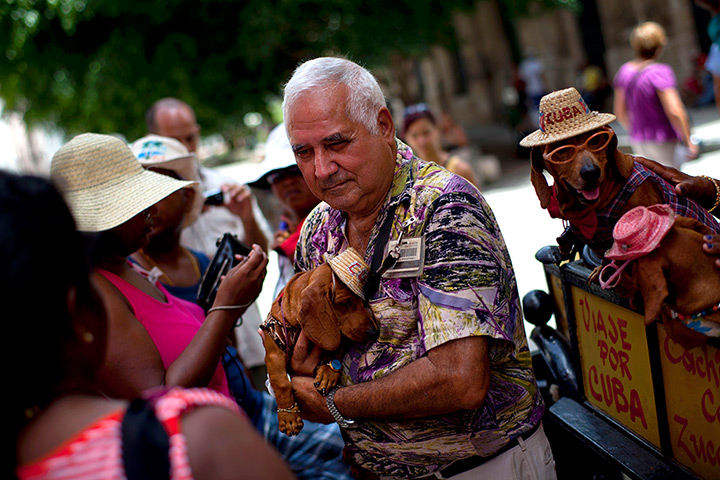 24 hours: Havana, Cuba: Retired taxi driver Jose Miguel, 69, carries one of his dogs
