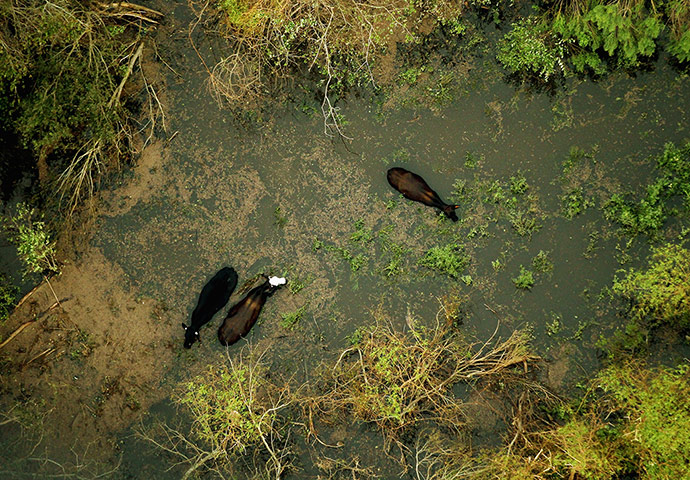 24 hours: US Gulf Coast Copes With Aftermath Of Hurricane Isaac