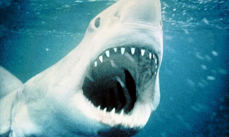 A scene from the film Jaws