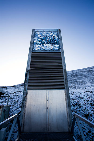 The Cold Edge: Svalbard Global Seed Vault
